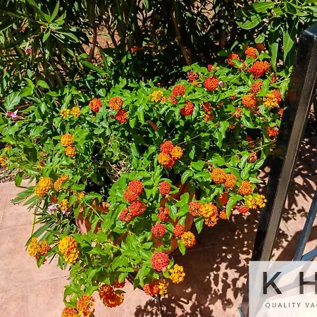 Thea Lassi 2 Bedroom Apartment, Garden Level Αργοστόλι