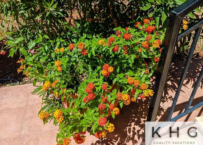 Thea Lassi 2 Bedroom Apartment, Garden Level Argosztóli